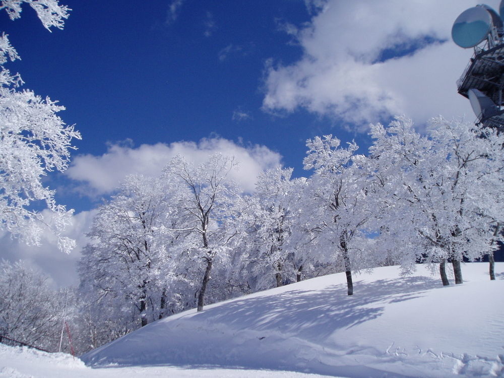 Lodge Matsuya Nozawaonsen Esterno foto