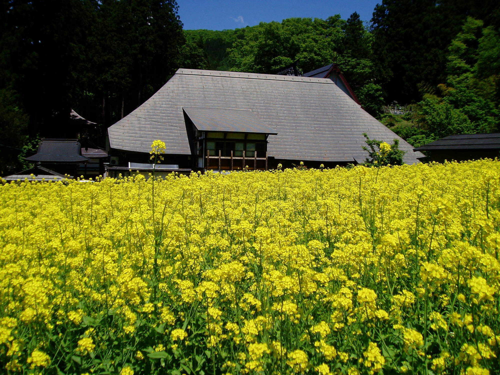 Lodge Matsuya Nozawaonsen Esterno foto